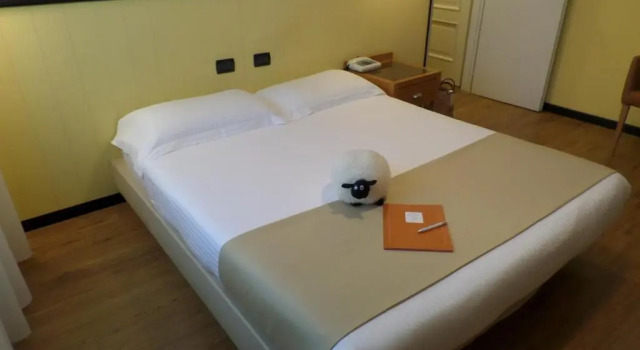 Двухместный номер Standard Hotel Miramonti