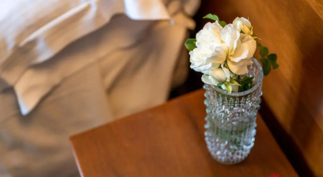 Одноместный номер Standard Hotel Terme Posta