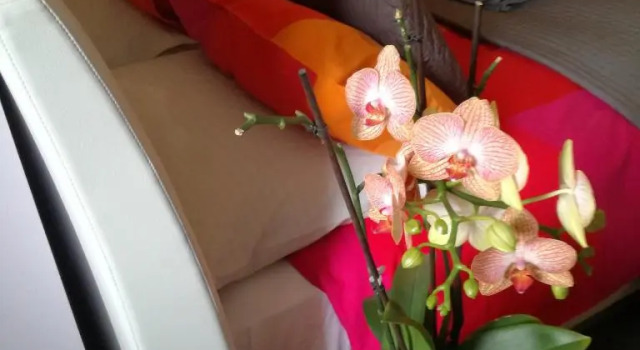 Standard Zimmer B&B Mary