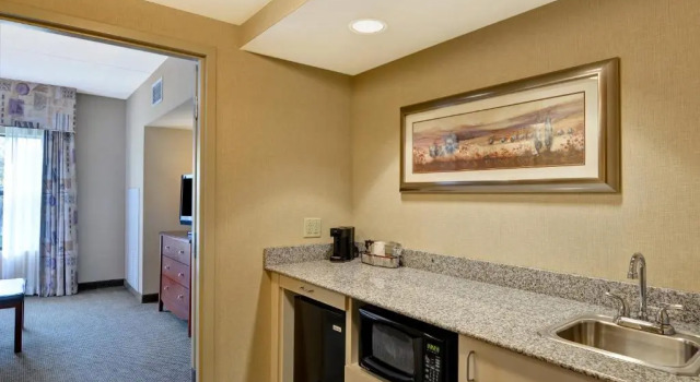 Люкс c 1 комнатой Hampton Inn Sayre