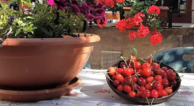 B&B Mamma Ari, Rezervovat Penzión se snídaní Fermo 