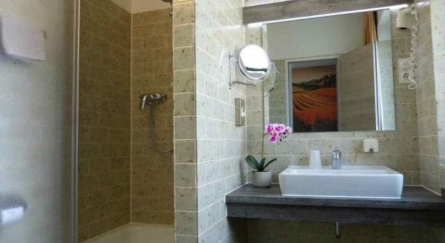 Одноместный номер Comfort Hotel Wurms