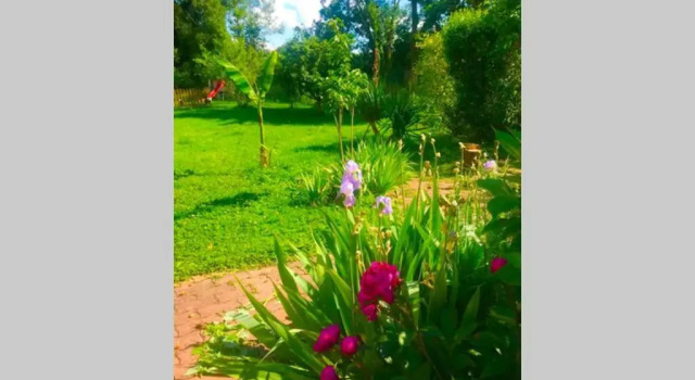 Villa Lilly 2 piscine et jardin privé 8 chambres, Rezerwuj Willa Domki letniskowe w Pierry, Domek