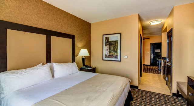 Двухместный люкс Holiday Inn Arlington NE-Rangers Ballpark by IHG