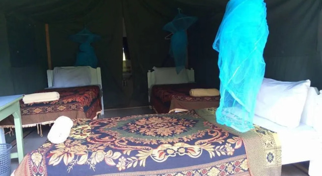 Номер Standard Rhino Camp