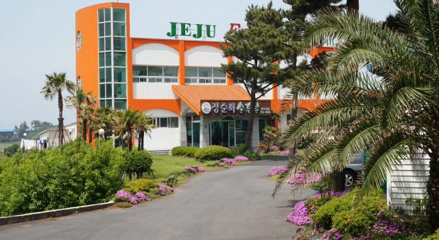 Jeju Feel House