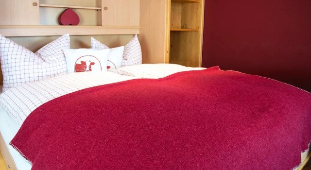 Номер Comfort HAUS Susanne - TOP-Ferienwohnungen - SOMMER-Bergbahn inklusive