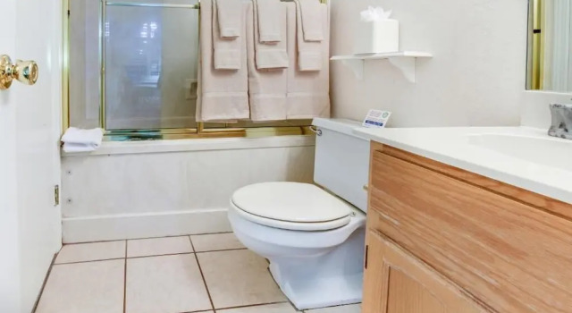Двухместные апартаменты Plaza Suites Downtown New Orleans