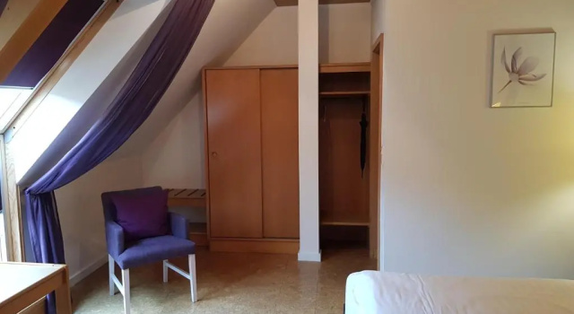 Двухместный номер Classic Weinhotel Restaurant Klostermühle