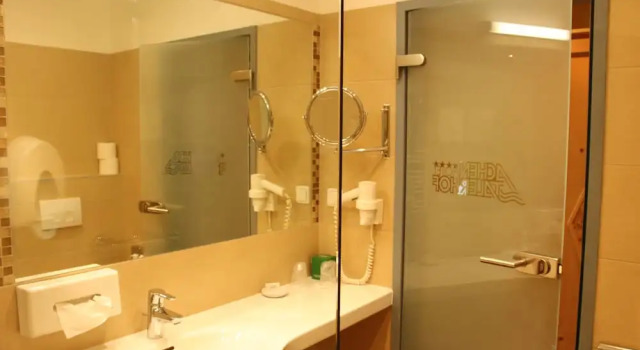 Номер Standard Hotel Achentalerhof