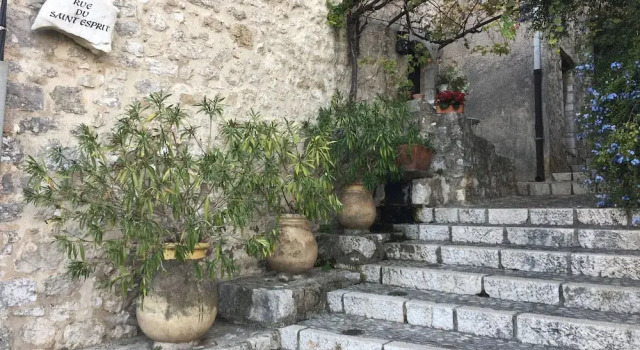 Excellent Apartments on the Cote D'azur