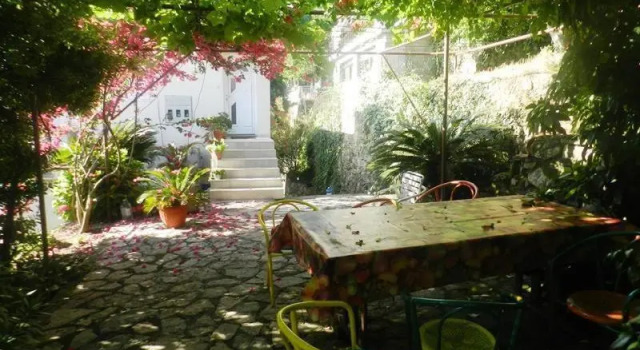 Апартаменты c 1 комнатой Apartments Olga