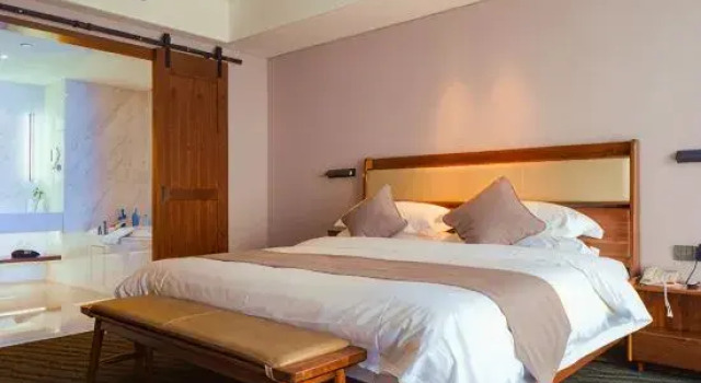 Executive- suite Rhine Hotel