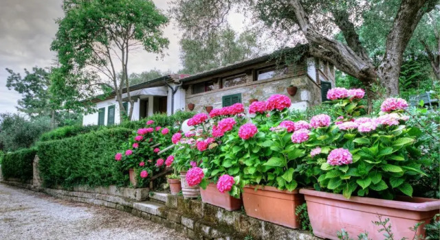 Lejlighed B&B Villa Garden Saturnia