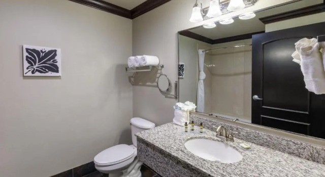 Standard Zimmer Hawthorn Suites by Wyndham Lubbock