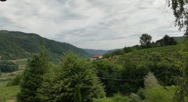 Четырёхместный номер Standard Agriturismo Tenuta San Giuseppe