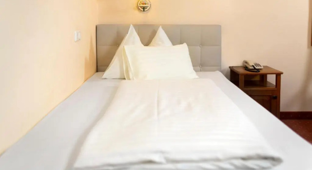Одноместный номер Vergeiners Hotel Traube