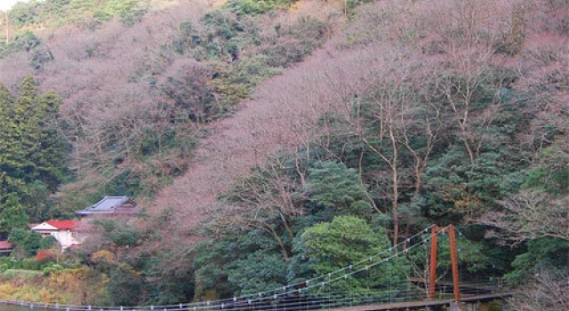 Tachikuekyo Onsen Hakkouen, Varaa Hotelli Izumo Shimane