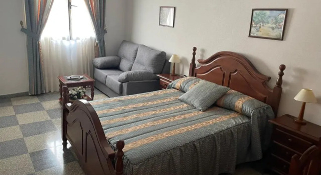 Двухместный номер Standard Hostal Las Palomas