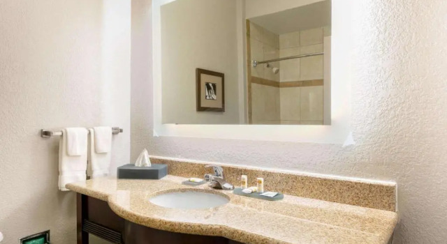 Двухместный номер Executive La Quinta Inn & Suites by Wyndham Lindale