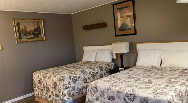 Номер Deluxe Moose Motel