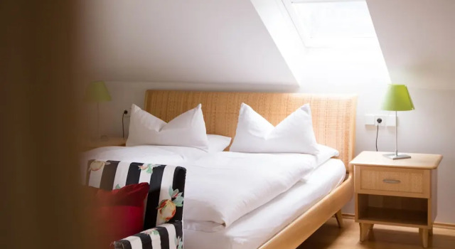 Двухместный полулюкс Hotel Restaurant Vinothek LAMM
