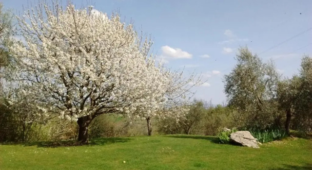La Sassaia, Varaa Hotelli Carmignano 