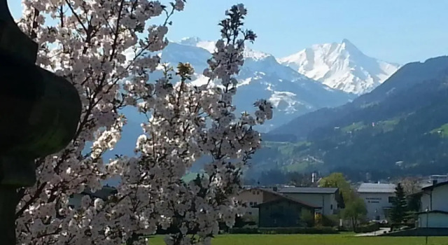 Apart Tyrol, Rezerwuj Hotel Hotele w Tyrol z parkingiem, Parking