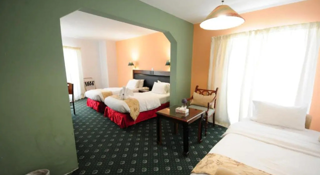 Habitación Estándar Edom Hotel