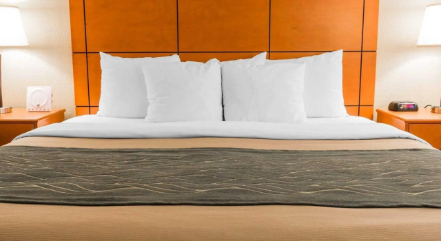 Номер Standard Comfort Inn Metro Airport