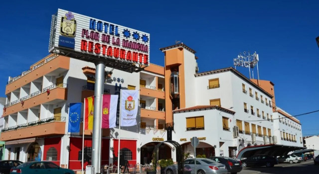 Hotel Flor de la Mancha