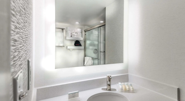 Двухместный номер Standard Hilton Garden Inn Reagan National Airport