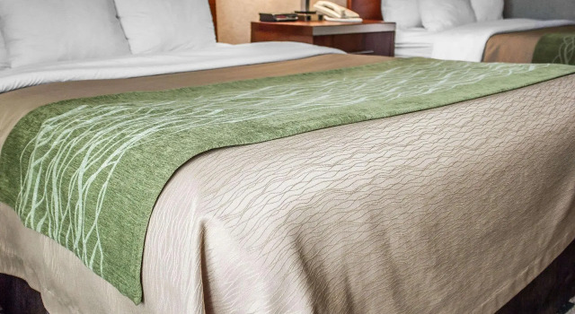 Standard Vierer Zimmer Quality Inn