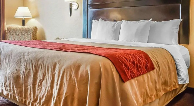 Номер Standard Quality Inn & Suites Roswell North