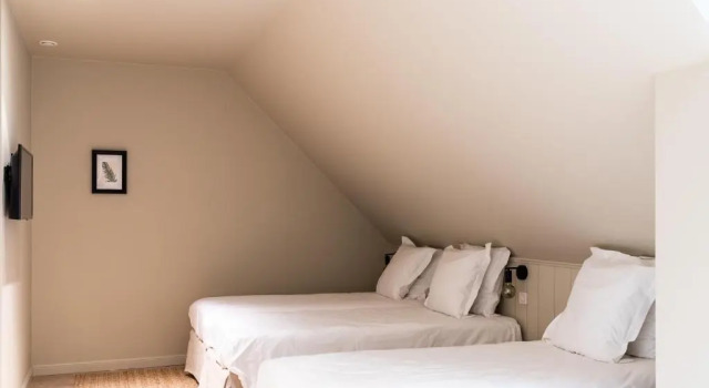 Номер Standard Hoeve Hazegras
