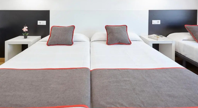 Номер Standard Hostal Mas Ferrer