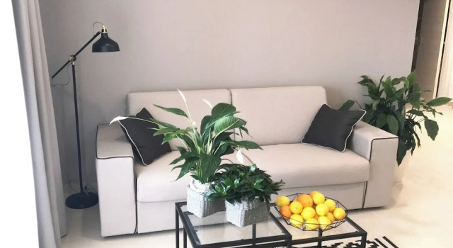Apartment Andrea L Pula
