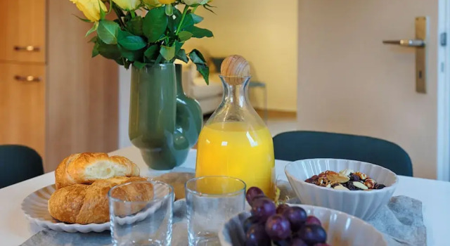 Апартаменты Classic с частичным видом homie stay süßenmühle - Apartments am Bodensee