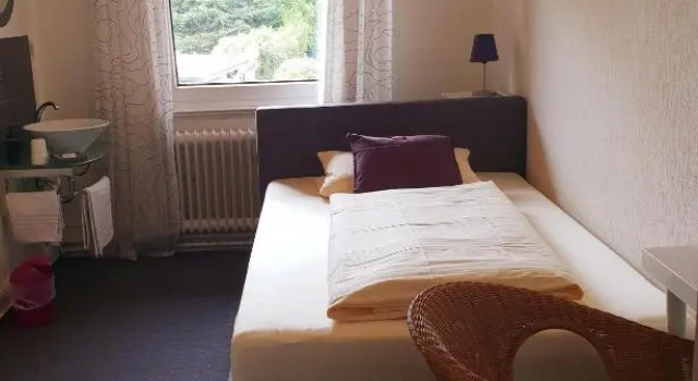 Номер Standard Hotel Schweizerhaus