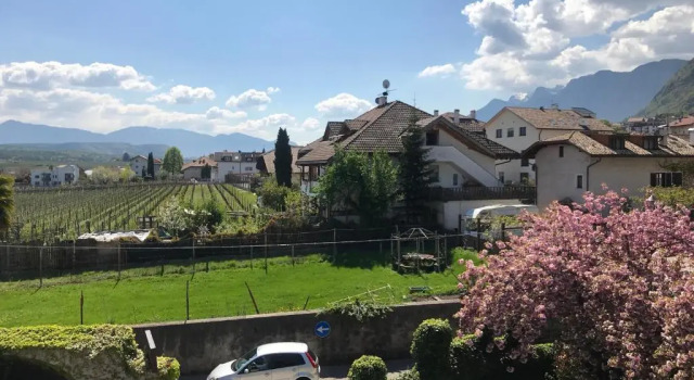 Двухместный номер Standard Angerburg Blumenhotel