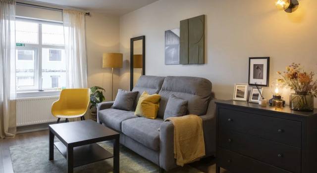 Апартаменты Economy Ray of Sunshine Hafnargata