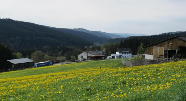 Двухместный номер Standard с балконом Bauernhofpension Hof Dödesberg
