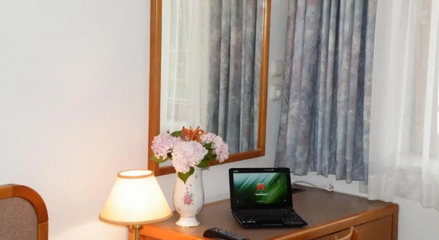 Одноместный номер Standard Apartment Pension Rideg Heviz
