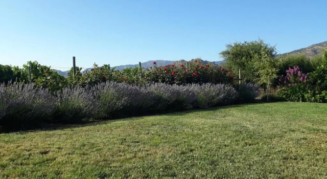 Camera Standard Callihue Lodge