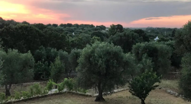 Номер Standard B&B Terre di Kalia