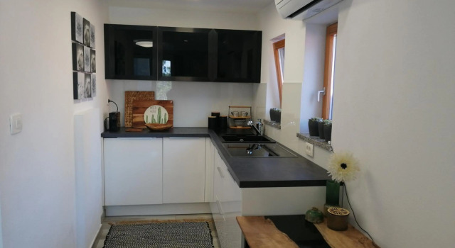 Apartma Medoši