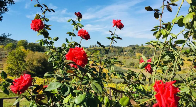 Люкс Podere Bellavista
