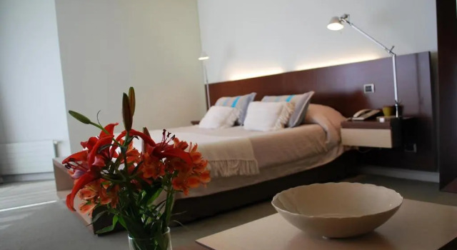 Suite Hotel Costa Real