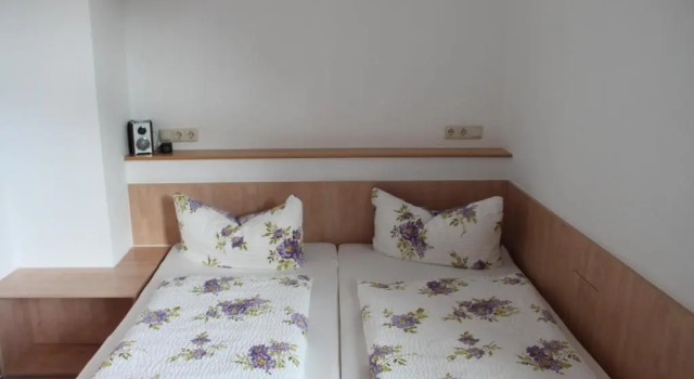 Двухместный номер Standard Waldgasthaus & Berghotel Steinerne Renne