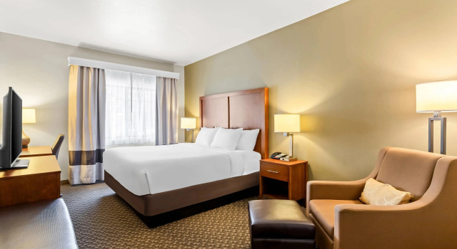 Двухместный номер Standard Comfort Inn & Suites Midtown